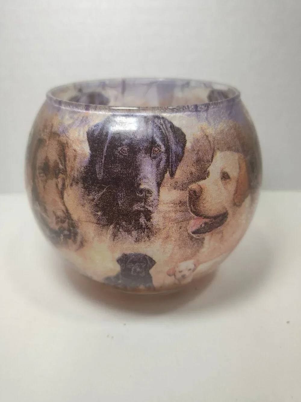 Romance Lights Labrador Retriever 5.25